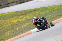15-to-17th-july-2013;Brno;event-digital-images;motorbikes;no-limits;peter-wileman-photography;trackday;trackday-digital-images